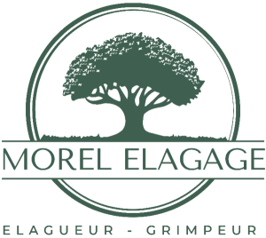 logo morel elagage